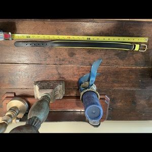 India Hicks leather dog collar w/leash. Black w/limey green trim